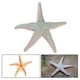 thumbnail image 1 of Realistic Sea Animals Solid Simulation Figurines ABS Figures Models Collection Educational Toys For Children, 1 of 5