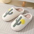 thumbnail image 2 of DQrwqpou Unisex algodón felpa antideslizantes Cactus zapatos interior suaves para invierno (40-41), 2 of 9