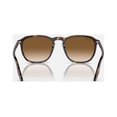 thumbnail image 4 of Sunglasses Ray-Ban RB 2203 902/51 Havana Clear Gradient Brown, 4 of 5