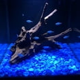 thumbnail image 6 of 5-9mm Glow In The Dark Pebbles 100 Pcs, Luminous Fluorescent Stones Aquarium Substrate, Glowing Gravel Vase Decor for Gardening Fish Tank, 6 of 6