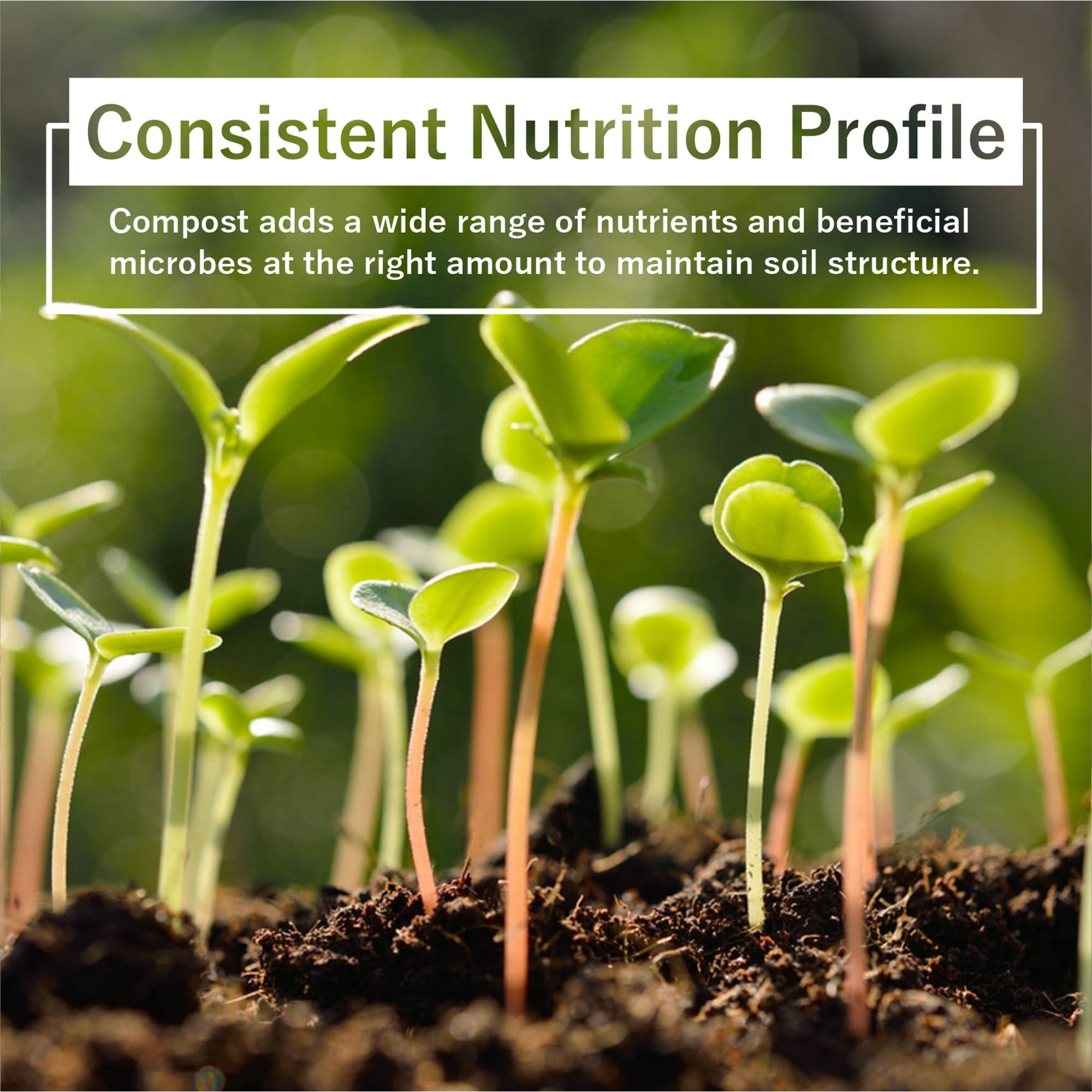 Organic Compost - Plant Based Potting Soil - Home, Garden Organic Fertilizer - Complete Food for Plants - Boosts Plant Growth - Use for Indoor and Outdoor Farming 24 Quart Bulk!