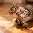 thumbnail image 2 of Double-Headed Catnip Sticks for Cats, 4.7 Inch Natural Wood Chew Toys for Kittens, Teeth Cleaning Toy, Interactive Indoor Play for Stress Relief 1Pack, 2 of 9