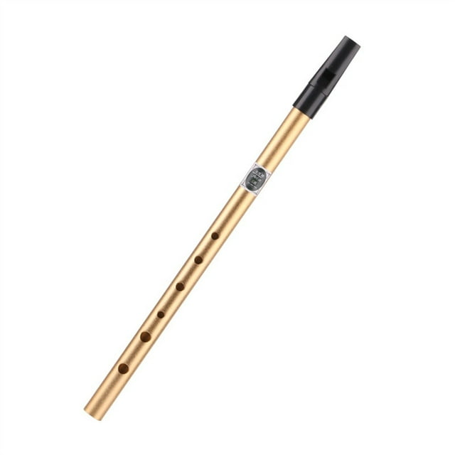 MYG Flûte Irlandaise C/D Clé Irlande Étain Penny Sifflet 6 Trous Flûte Instrument