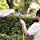 thumbnail image 3 of Lavadora de alta presión, pistola de agua de jardín ajustable de 180 °, controles de flujo variable, boquilla de tubería, herramientas de limpieza de lavado de coches TUNC Sencillez, 3 of 5