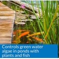 thumbnail image 3 of 32 oz (treats 9600 gal) PondCare Microbial Algae Clean, 3 of 5