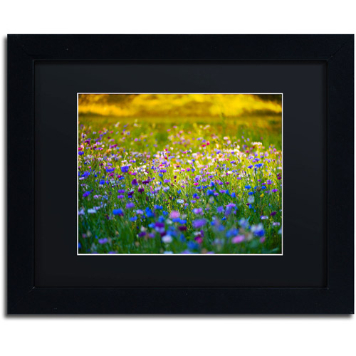 Red vs Yellow by Philippe Sainte-Laudy Black Frame 11x14-Inch