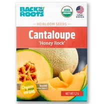 Seed Packet - Cantaloupe 'Honey Rock' 1.2g