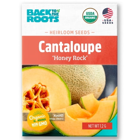 Seed Packet - Cantaloupe 'Honey Rock' 1.2g
