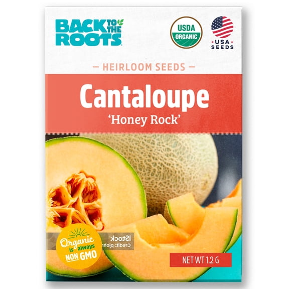 Seed Packet - Cantaloupe 'Honey Rock' 1.2g