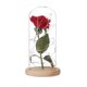 thumbnail image 1 of Rose In Flask Beauty Table Lamp Red Rose With Led Light Glass Dome For Valentine's Day Mother's Day Gift Art Deco Bedside Lamp Afortunado Sencillez, 1 of 3