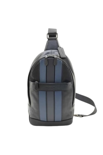 black panther coach backpack COACH Court Backpack In Signature Canvas Charcoal/Black CZ176 main image 0