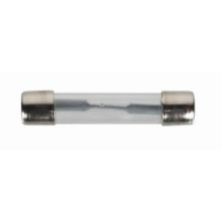 The Best Connection 2409E 10 Amp Agc Glass Iron-head Fuse 2