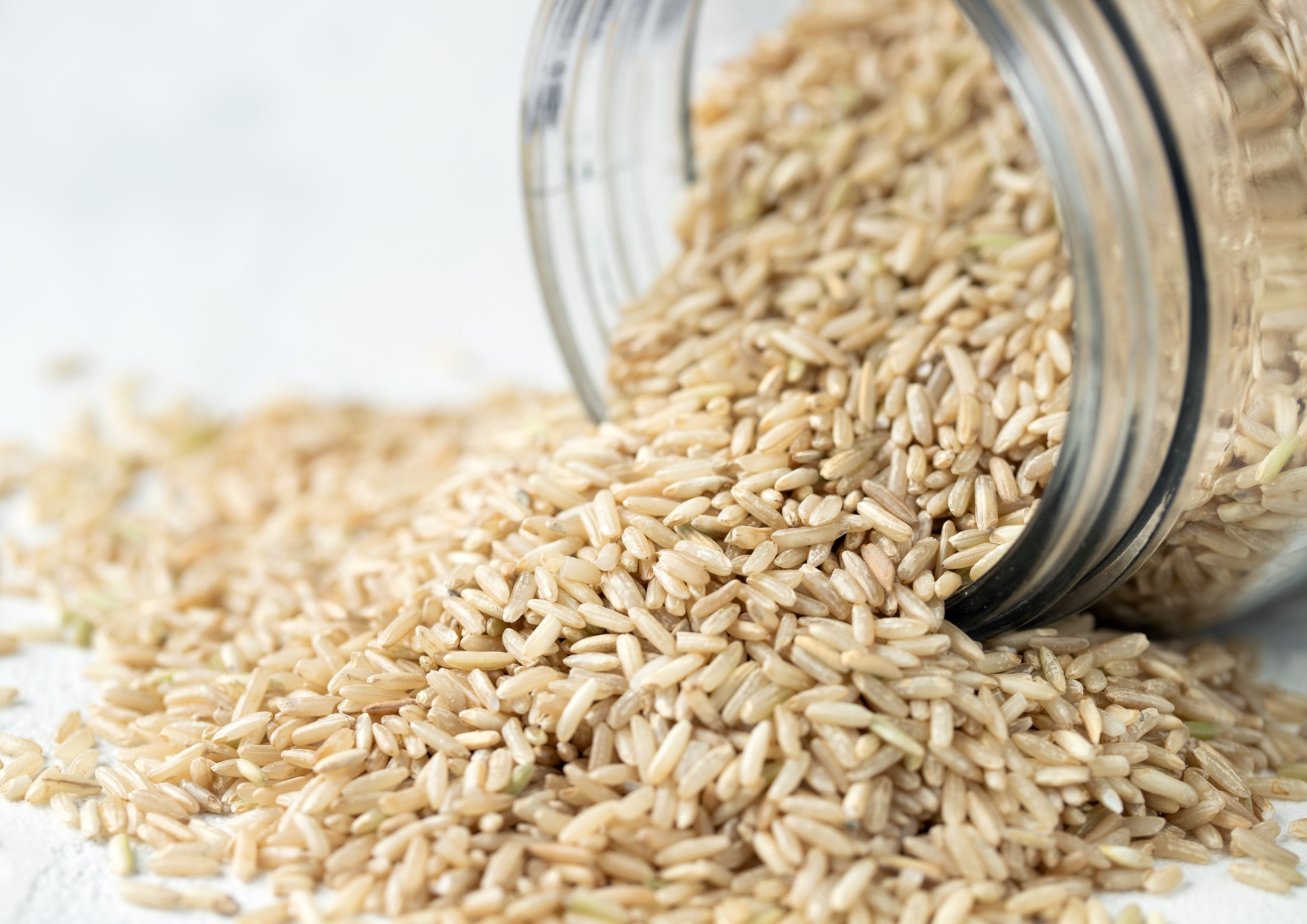 Jasmine Brown Rice, 24 Pounds — Kosher, Raw, Vegan — by Food to Live