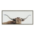 thumbnail image 2 of Kate and Laurel Sylvie Texas Longhorn Framed Canvas Wall Art by The Creative Bunch Studio, 18 x 40, Gray, Panel Print Farmhouse Animal Art, 2 of 6