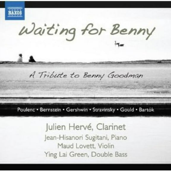 Julien Herve - Clarinet Sonatas & Other Works - Music & Performance - CD