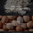 thumbnail image 6 of Genius Protein Powder, Vanilla - Dual Protein Blend with Improved Whey Isolate & Natural Egg White - Grass-Fed Pre & Post Workout Meal Replacement Shake - 20 Servings, 6 of 9
