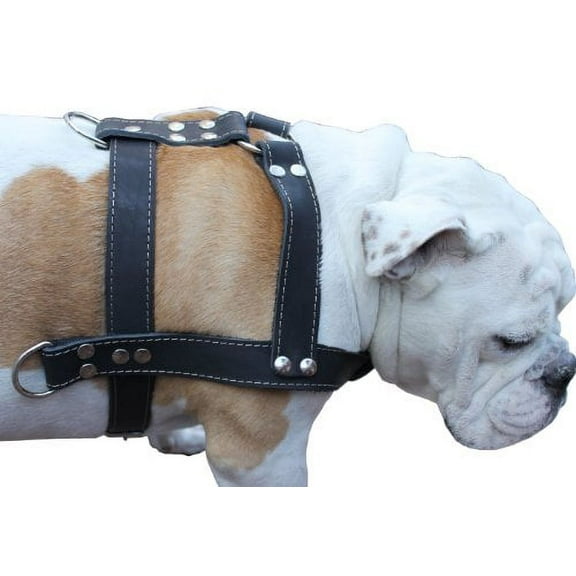 Black Genuine Leather Dog Pulling Harness 33"-37" Chest Size 1.5" Wide Straps, Cane Corso Rottweiler