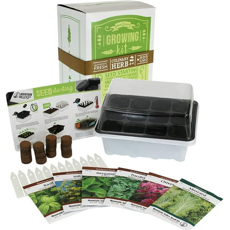 Indoor Culinary Herb Garden Starter - Basic Kit - 6 Non-GMO Varieties - Grow Cooking Herbs & Spices - Seeds: Basil, Dill, Parsley, Chives, Mustard, Oregano