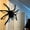 Climbing - 2.45FT, variant on 2.95ft Giant Voice-Activated Crawling Spider Halloween Decoration – Sound Sensor Activated Moving Spider Prop, Realistic Floor-Skittering Black Spider for Lawn, Home, Bar, School & Party Pranks