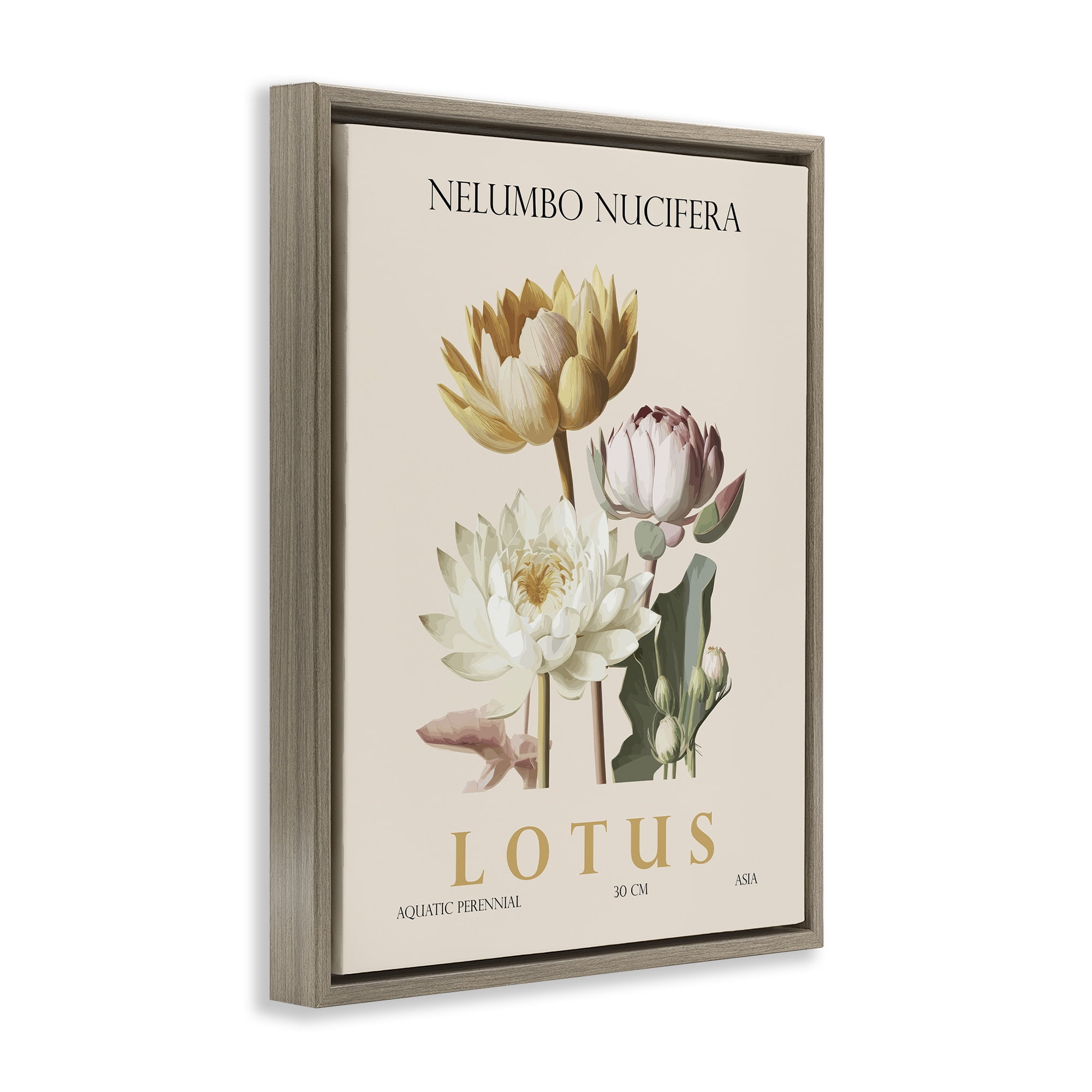 Stupell Industries Natural Lotus Bundle Brown Framed Floater Canvas Wall Art, design by Christopher Giampietro