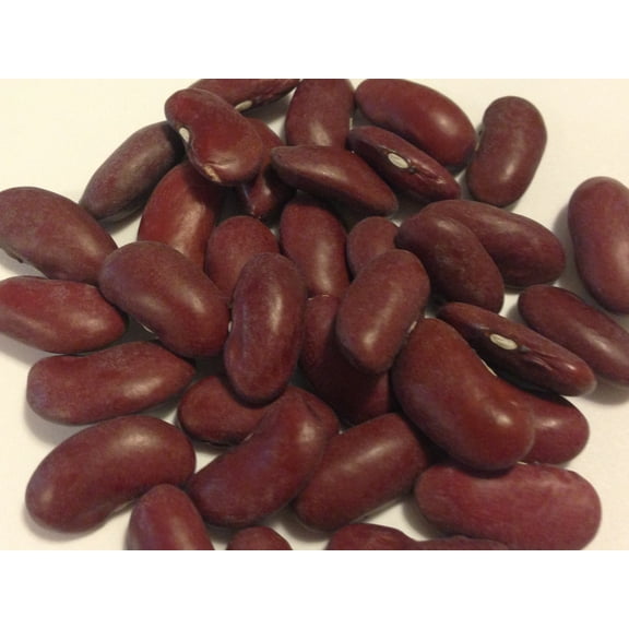 Bean Dark Red Kidney Great Heirloom Garden Vegetable By Seed Kingdom BULK 1 Lb Seeds