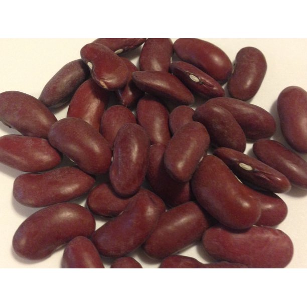 Bean Dark Red Kidney Great Heirloom Garden Vegetable By Seed Kingdom