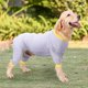thumbnail image 3 of xl Ropa de una pieza cálida de Color sólido para mascotas, ropa resistente a lamer heridas para perros, 3 of 5