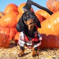 thumbnail image 4 of Dog Halloween Costume Hat With Axe Prop For Small Medium Pets Adjustable Rope Design Cloth And Plastic Material brown, 4 of 5