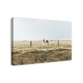 thumbnail image 2 of Creative Products Lone Horse Photography 24x36 Canvas Wall Art, 2 of 5