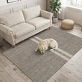 thumbnail image 2 of Area Rugs 3'x5', Farmhouse Grey Brown Carpet Runner Indoor Outdoor Rugs Home Decor Aesthetic, Vintage Country Linen Textured Non Slip Mats Washable Accent Rug for Living Room Bedroom, 2 of 5