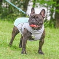 thumbnail image 4 of Chaleco refrescante para perros, ropa de verano ajustable, chaqueta térmica para perros para senderismo, caminatas y acampadas al aire libre., 4 of 4