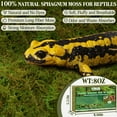 thumbnail image 3 of ZeeDix 8OZ Premium Sphagnum Moss for Reptile, 12QT Green Natural Live Moss Reptile Moss Bedding for Terrarium Plants, Long Fiber Reptile Moss for Leopards, Geckos, Snakes, Turtles, Frogs, 3 of 8
