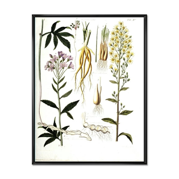 Designart 'Ancient Plant Life VIII' Farmhouse Framed Canvas Wall Art Print