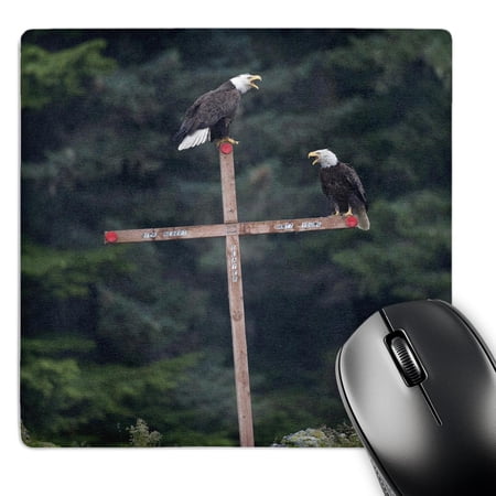 3dRose  Alaska  Angoon  Bald Eagles on cross memorial - US02 PSO0611 - Paul Souders  MousePad price history on PriceWatchPro