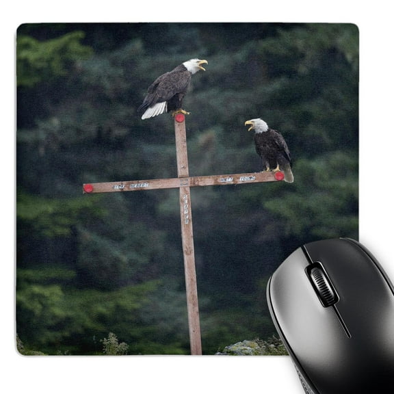 3dRose, Alaska, Angoon, Bald Eagles on cross memorial - US02 PSO0611 - Paul Souders, MousePad