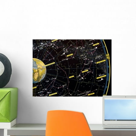 Star Maps Constellation Charts Constellation Star Map Wall Mural by Wallmonkeys Peel and Stick Graphic (18 in W x 13 in H) WM130370 ()