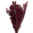 thumbnail image 2 of Vickerman 18-20" Merlot Pubescens Bundle.  Includes 10 oz (2 -5 oz Bundles). Preserved, 2 of 6