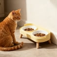 thumbnail image 5 of Elevated Cat Food and Water Bowls, 2-in-1 Slow Feeder Dish with Non- Base, Ergonomic Design for Better Digestion & Reduced Vomiting, Suitable for Small Medium Large Cats (A), 5 of 9