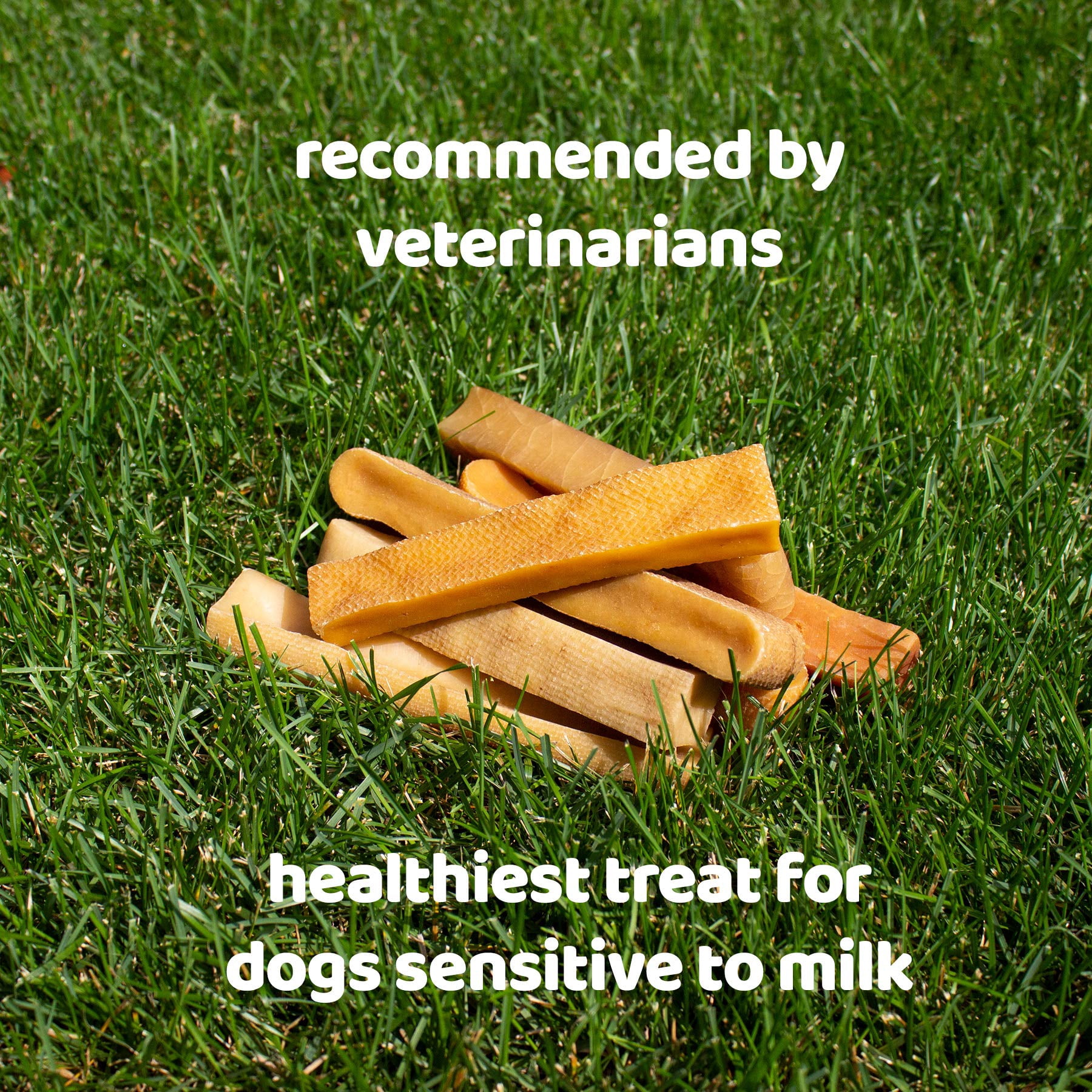 Downtown Pet Supply Bully Sticks For Dogs & Yak Chew Dog Treats 3 Pack Rawhide Free
