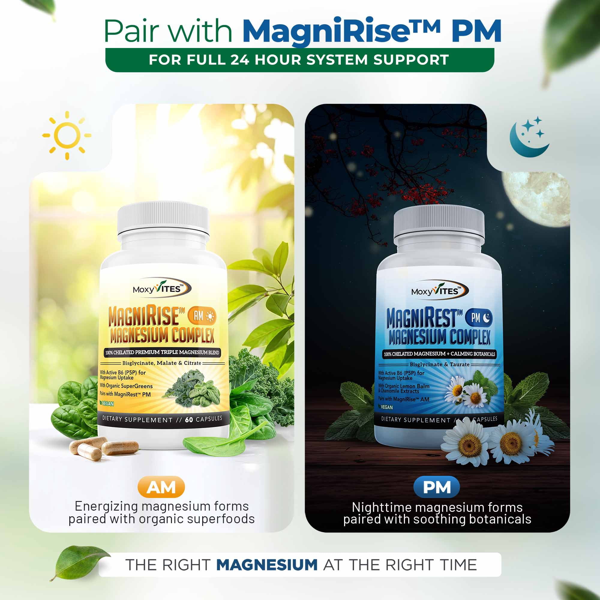 MoxyVites MagniRest Magnesium Bisglycinate Taurate with Vit B6, Sleep Aid, Anxiety Relief, Gluten-Free, Vegan, 60 Count
