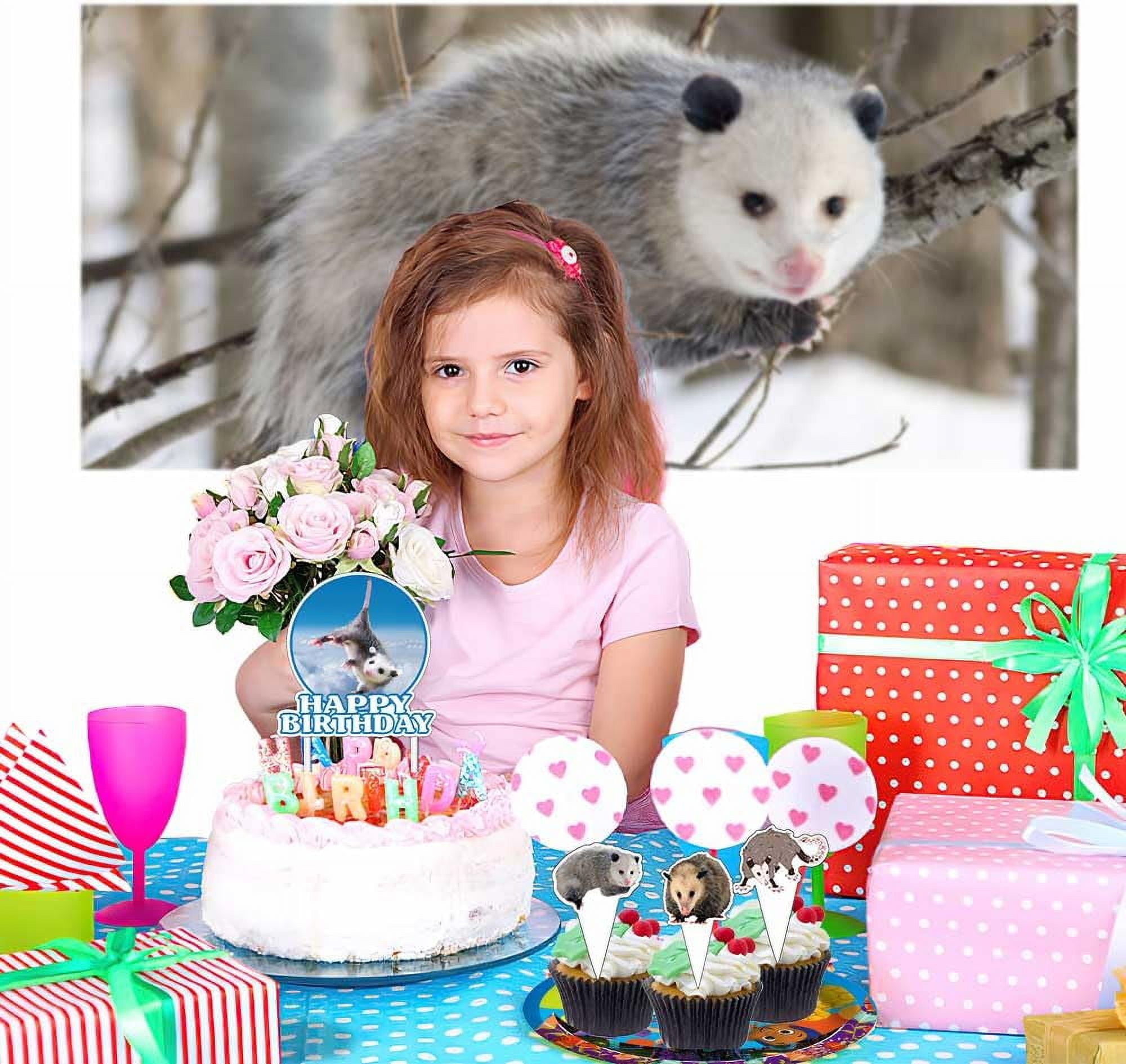 Opossum Birthday Party Supplies Decorations Plates Cake Topper Backdrop Banner Decor