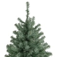 thumbnail image 4 of 7.5' Colorado Blue Spruce Artificial Christmas Tree Unlit, 4 of 5