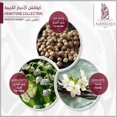 thumbnail image 2 of StylePalace, 2 of 2