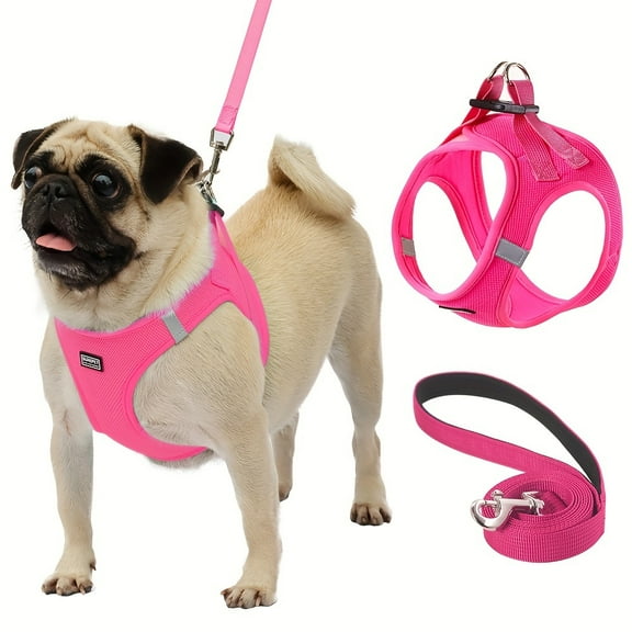 Breathable Reflective Dog Vest Harness with Leash Set, Step-in Dog Chest Strap No Pull Dog Harness with Walking Rope