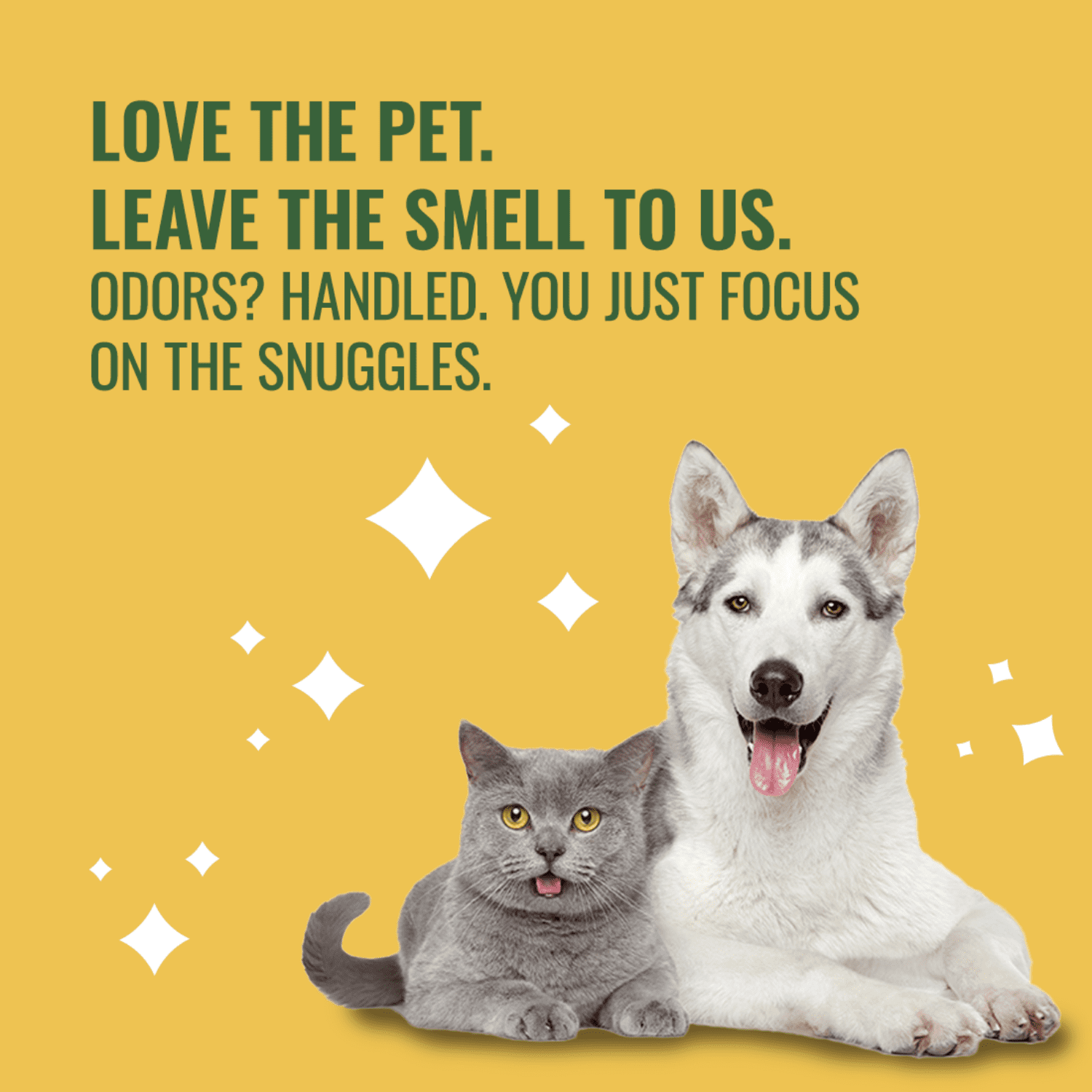 Citrus Magic Pet Deodorizing Solid Air Freshener for Pet Homes, Fresh Citrus  - 8 oz
