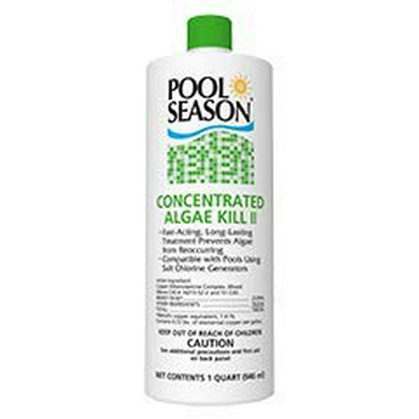 kill algae in pool fast