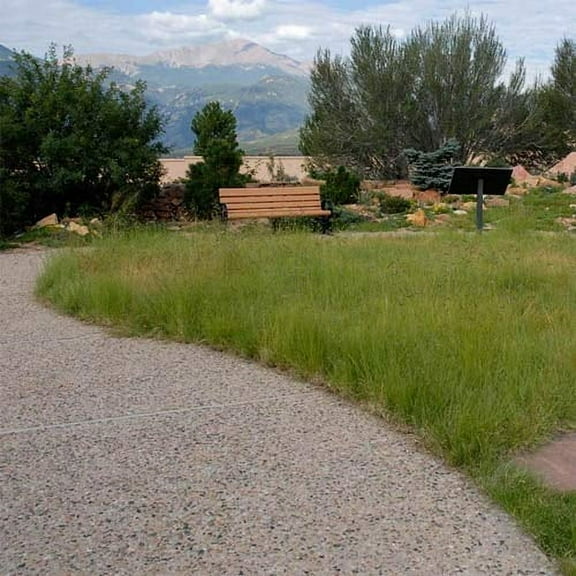 Outsidepride Perennial Short Native Grass Seed MVR1 Mix - 1 Mix of Blue Grama, Buffalo, Sideoats Grama, & Sheep’s Fescue Grass Seeds for Low-Maintenance, Heat & Drought-Tolerant Landscaping