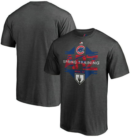 Chicago Cubs Majestic 2019 Spring Training Cactus League Winner T-Shirt - Heather