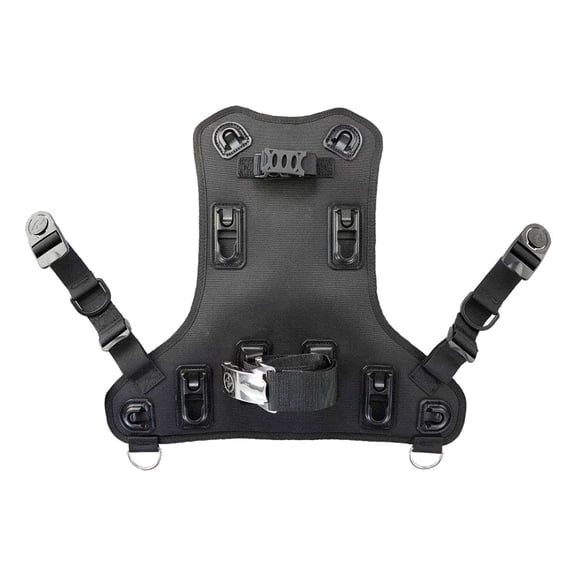 Aqualung Rogue Back Assembly
