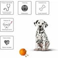 thumbnail image 2 of （Naranjas）Juguete saltarín original, dispensador de golosinas y croquetas, pelota indestructible antiestrés, interactivo para perros y gatos, juego de masticación para inteligencia., 2 of 5